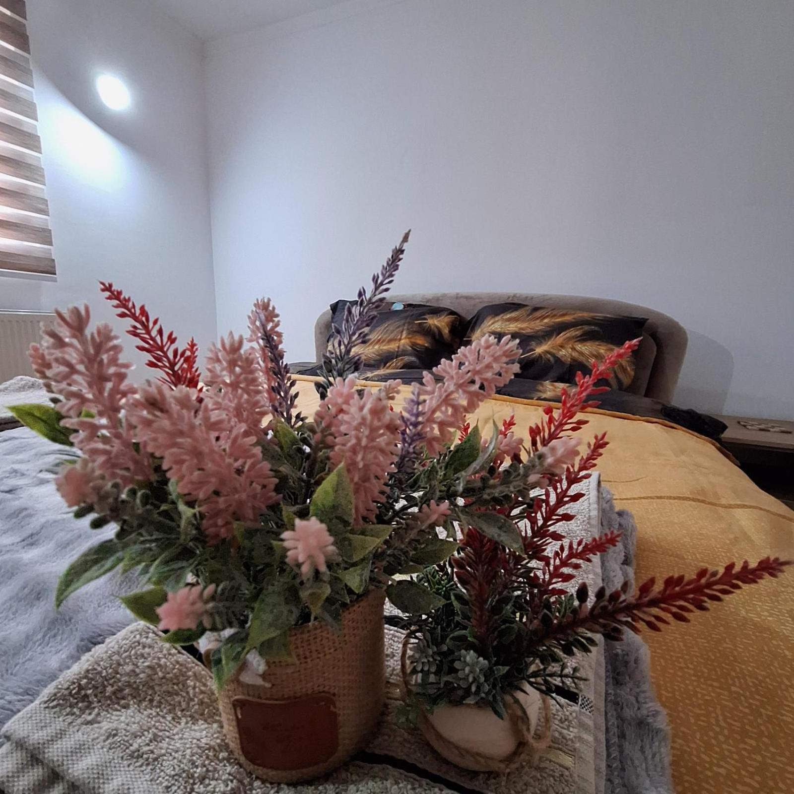 Apartment "Mira" フォチャ エクステリア 写真