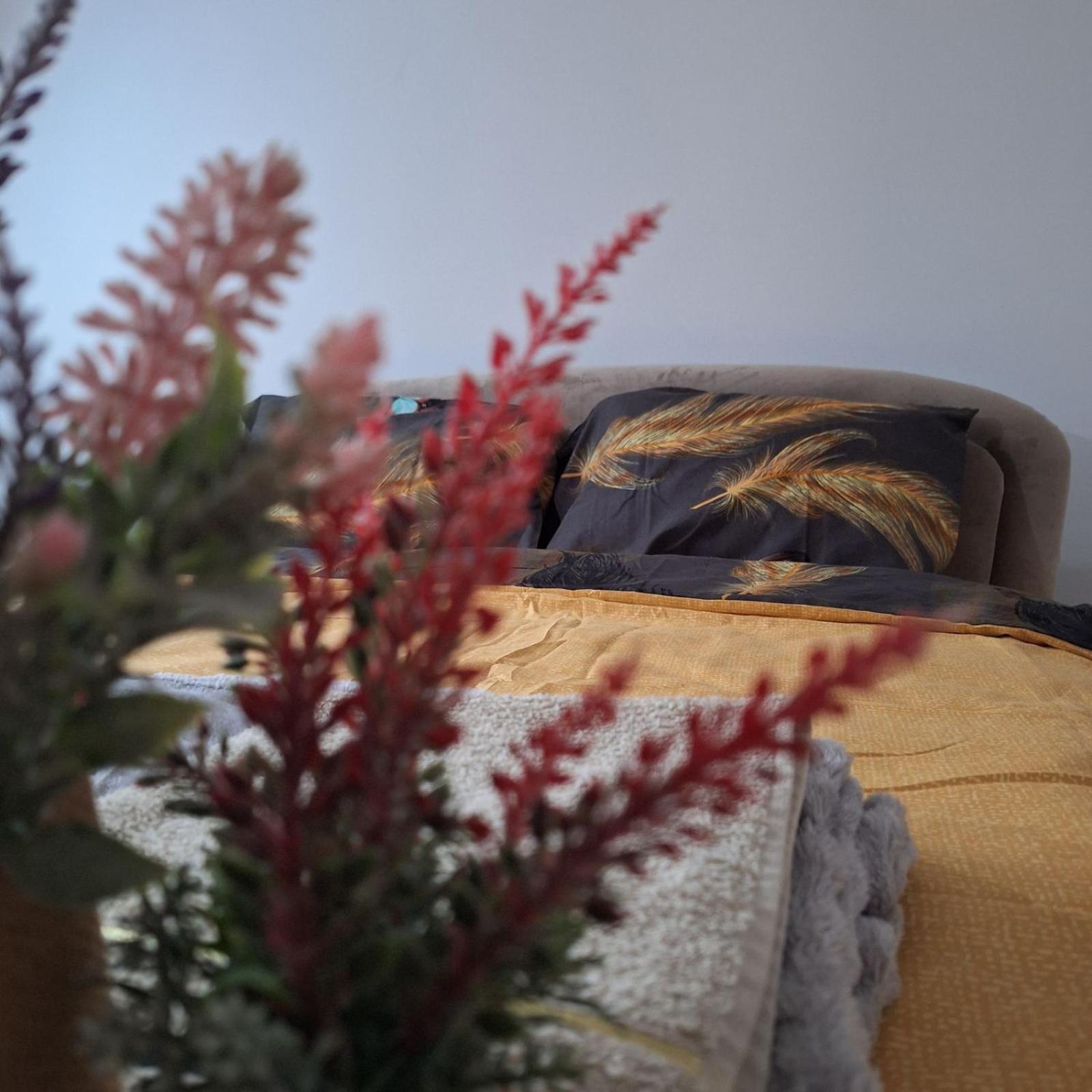 Apartment "Mira" フォチャ エクステリア 写真
